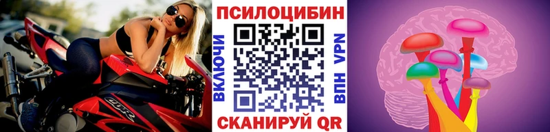 купить наркотик  Краснокаменск  Псилоцибиновые грибы прущие грибы 